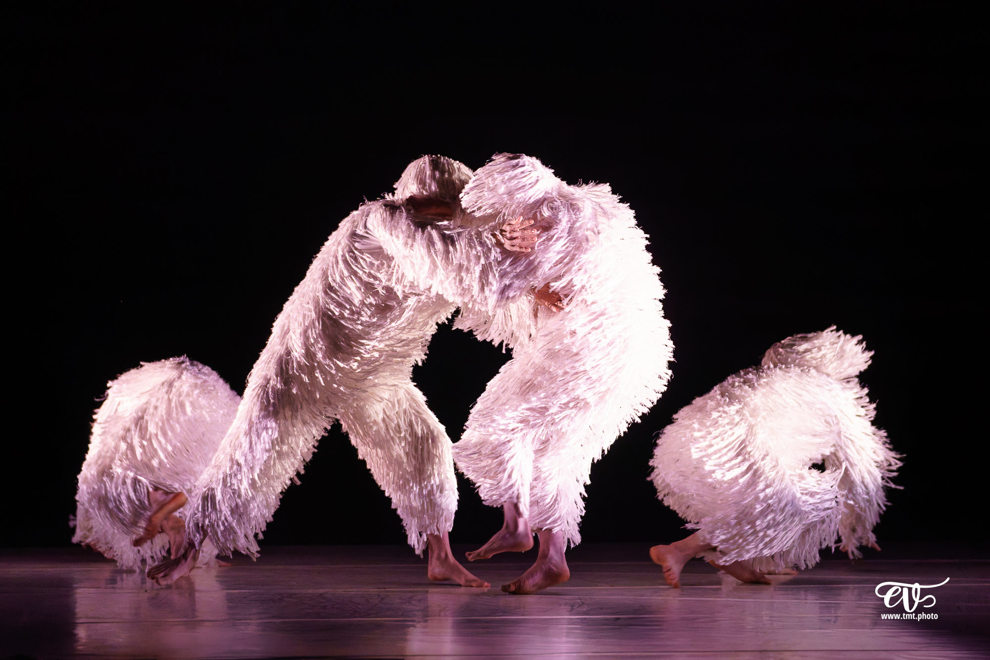 A4 (COMME LA FEUILLE) CIE CHICOS MAMBO